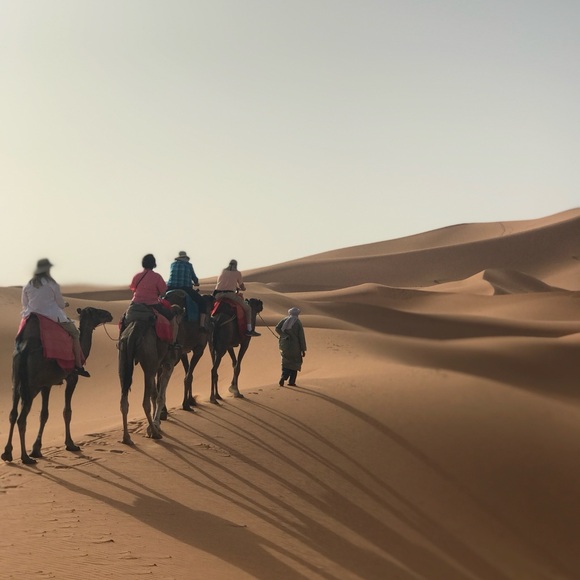 Meet your Posher, Isabel - Picture 15 of 15